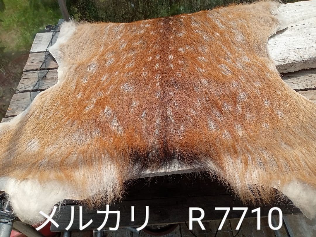 天然日本鹿の夏毛　ラグ