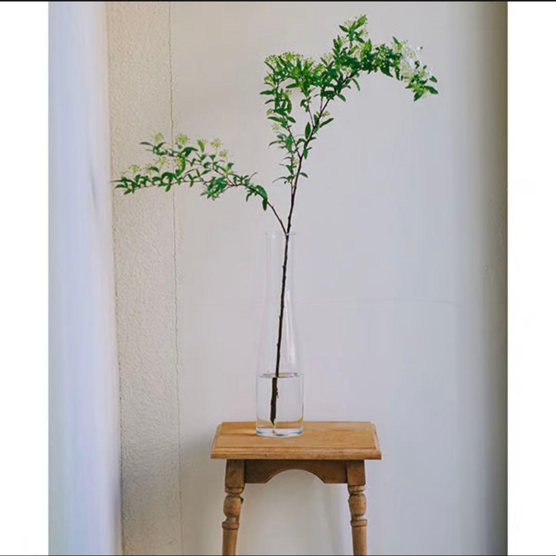 ミモレ別注　Sghr スガハラ　フラワーベース２種セット　定価21,800円