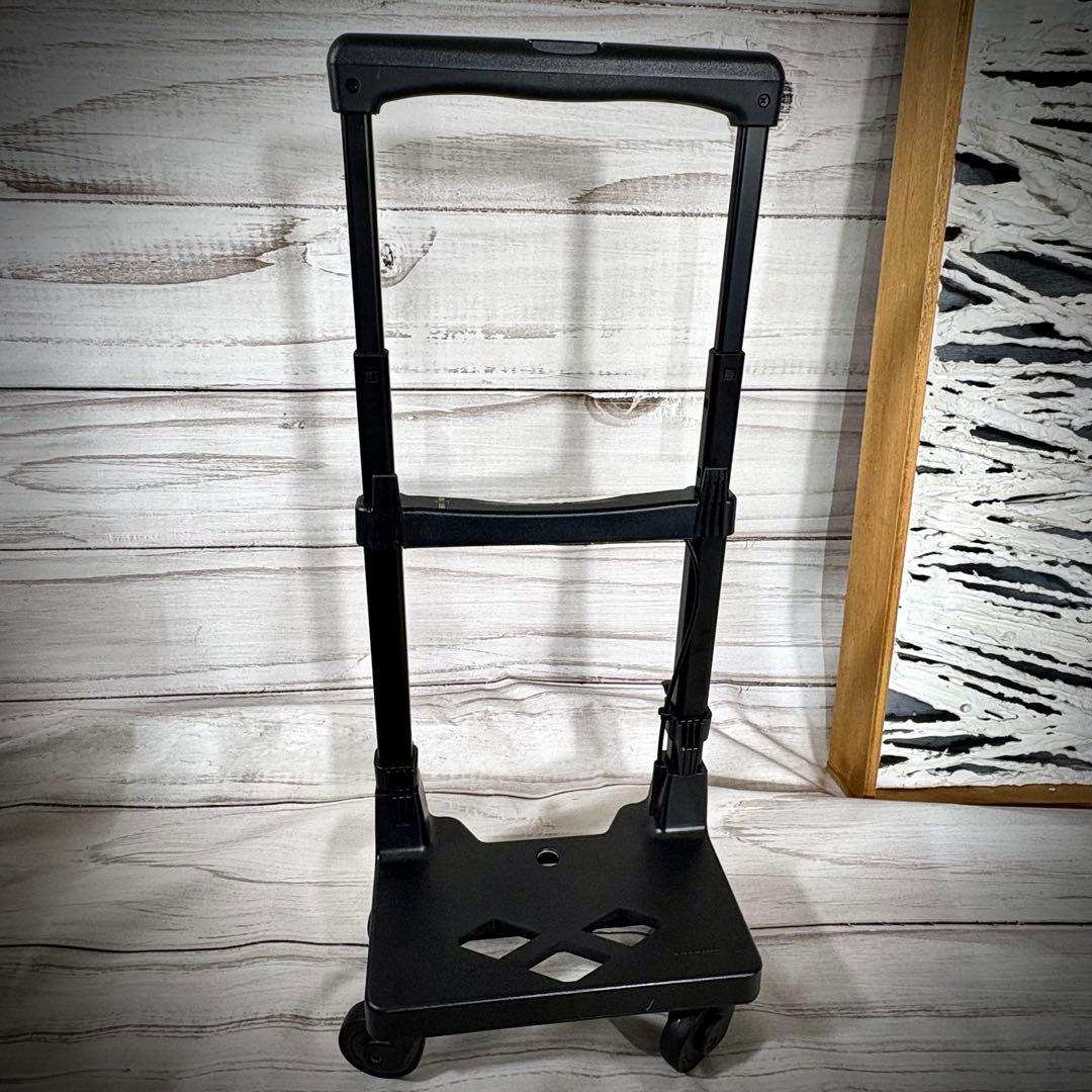 SWANY スワニー　キャリーバッグ　4輪ストッパー付　バッグ取外し可　ブラック