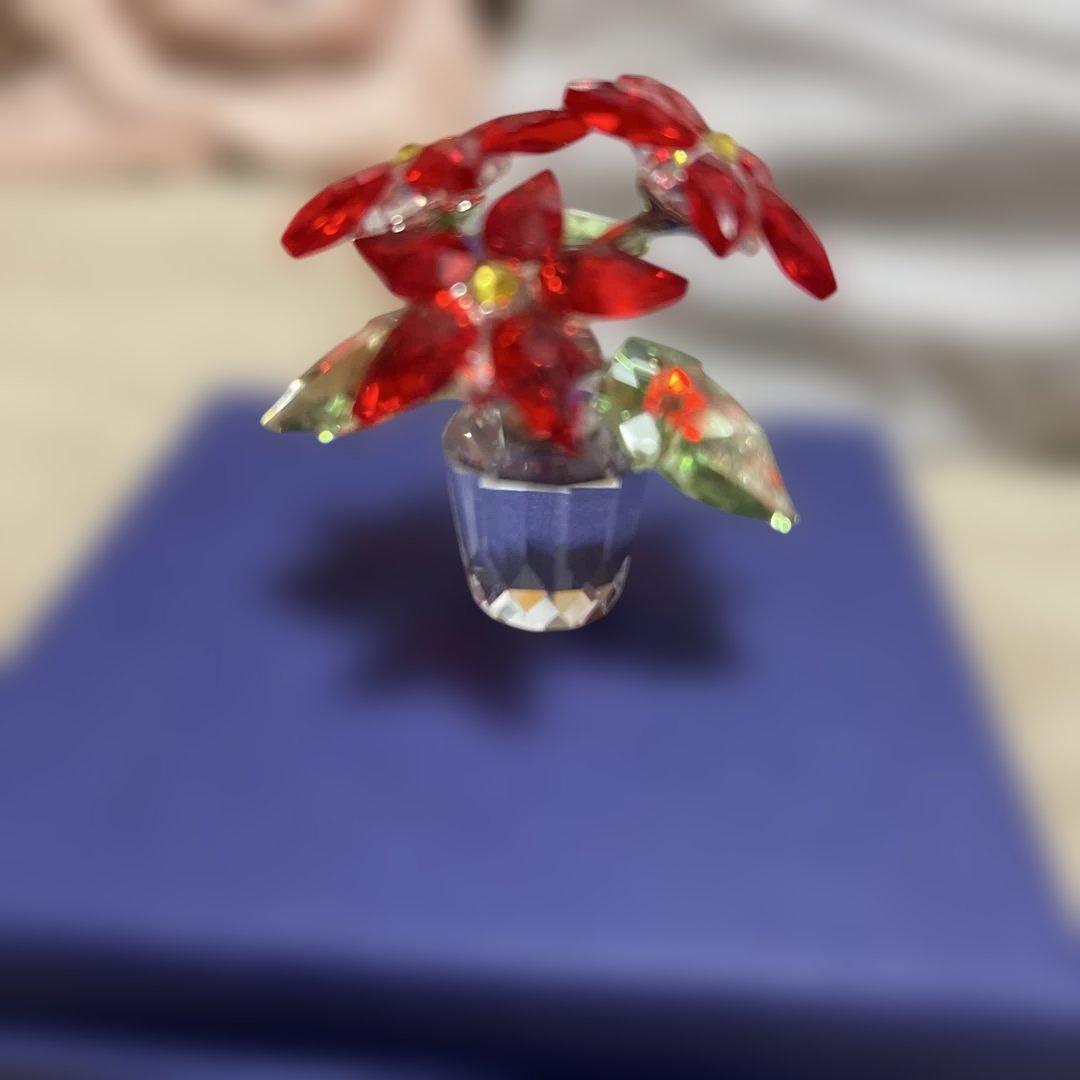 kenji.m　SWAROVSKI ポインセチア