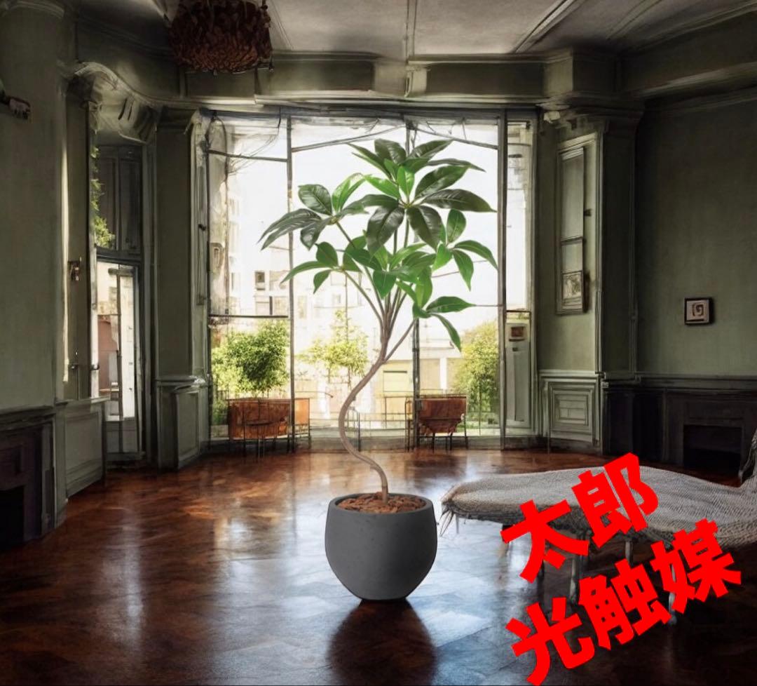 光触媒　人工観葉植物　ウォールグリーン　フェイクグリーン　ナチュラルツピタンサス