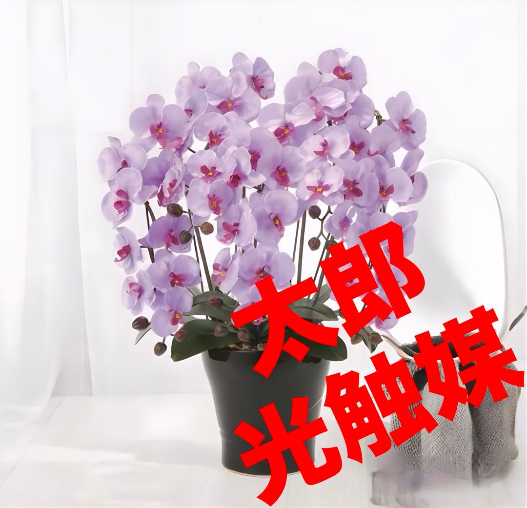 光触媒　人工観葉植物　ウォールグリーン　フェイクグリーン　クイーン胡蝶蘭5本立L