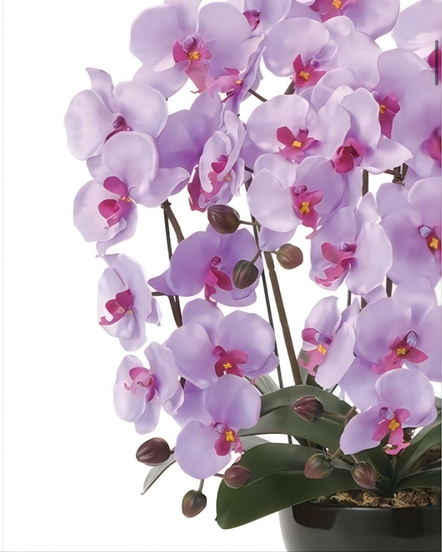 光触媒　人工観葉植物　ウォールグリーン　フェイクグリーン　クイーン胡蝶蘭5本立L