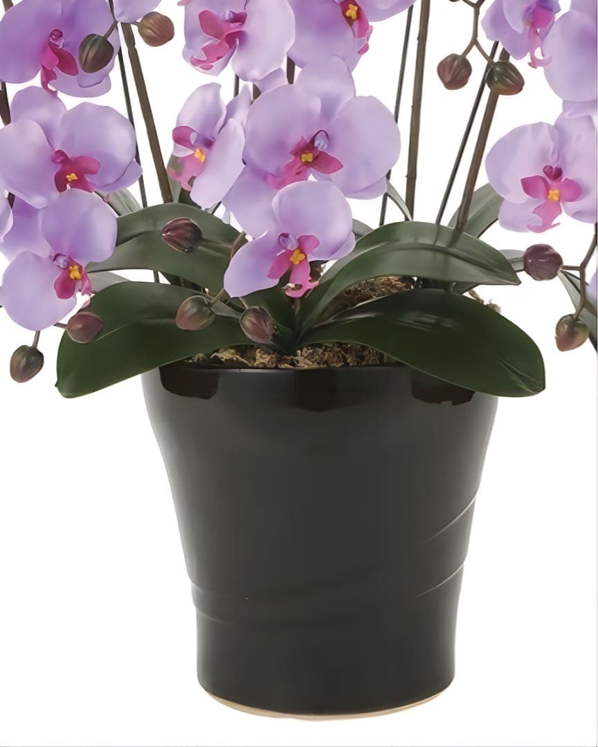 光触媒　人工観葉植物　ウォールグリーン　フェイクグリーン　クイーン胡蝶蘭5本立L