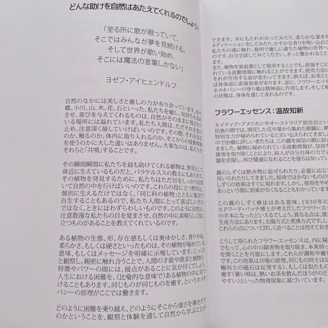 宝石と花 心に響くゼリツイン