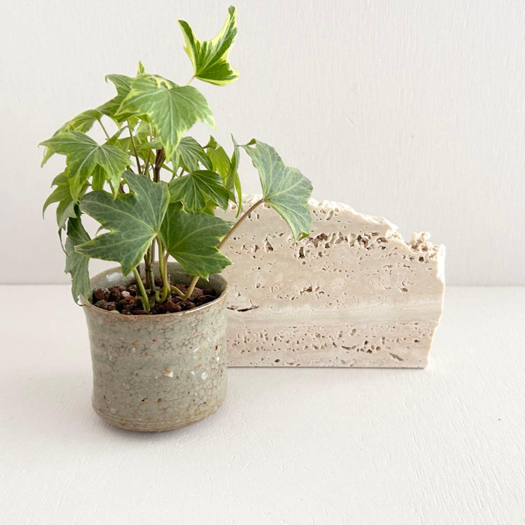 542ロマノトラバーチン（大理石端材プレート）