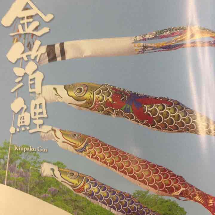 4m鯉のぼりセット