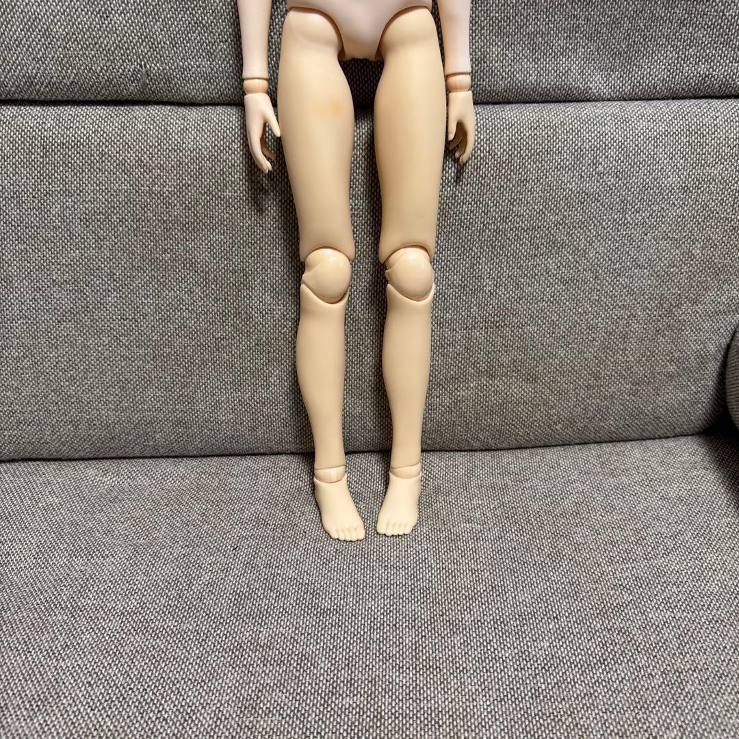 アゾン スターダストナイトメア リリア White RavenⅢ ドール