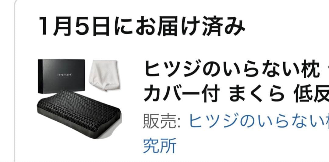 ヒツジのいらない枕 メッシュ構造 黒