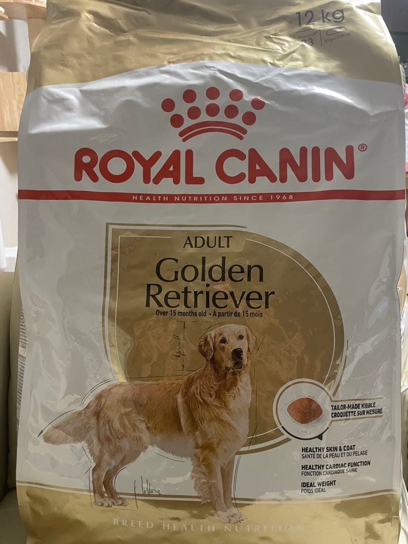 商品名:  CANIN アダルトゴールデンレトリーバー