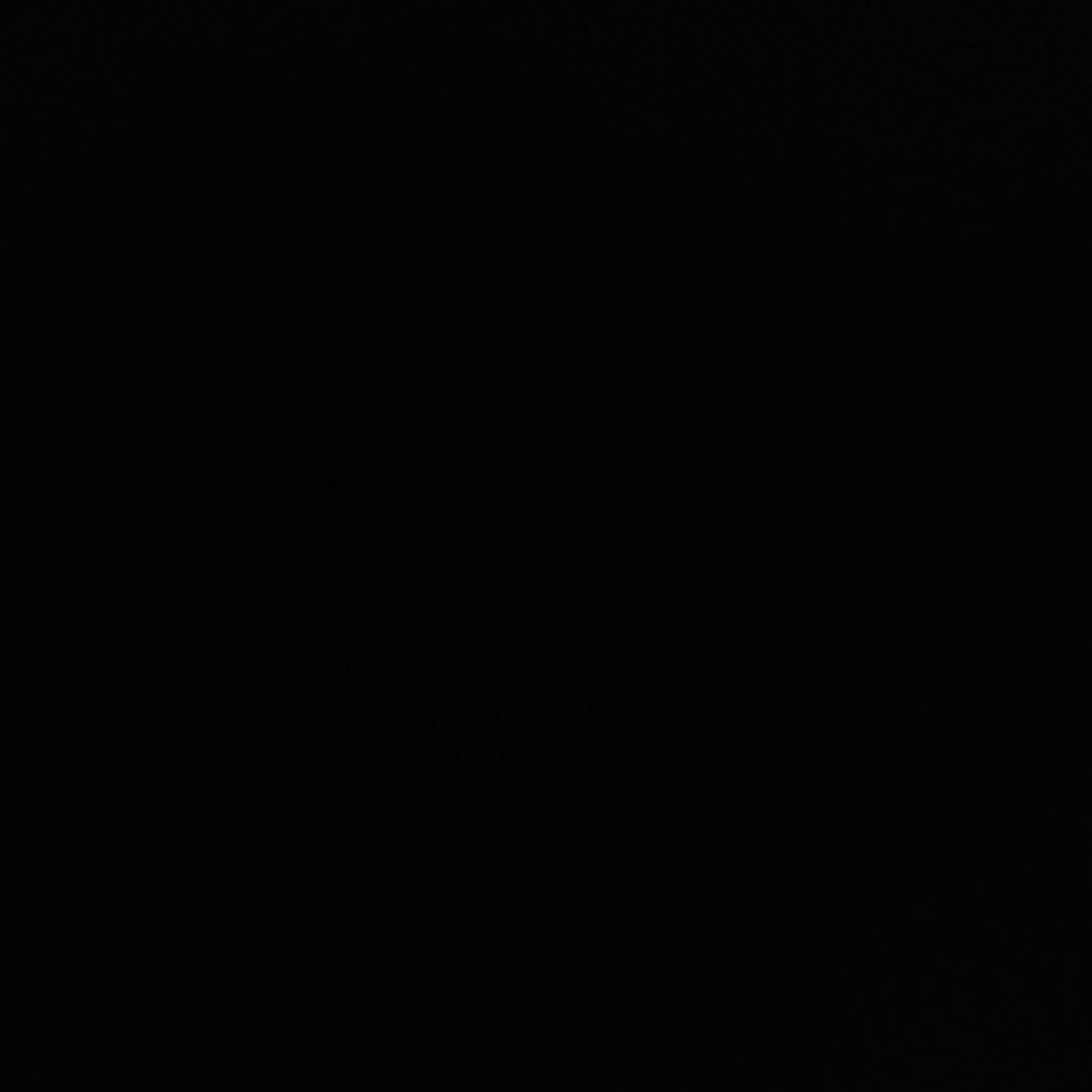 スピーカー・ウーファー duyanh