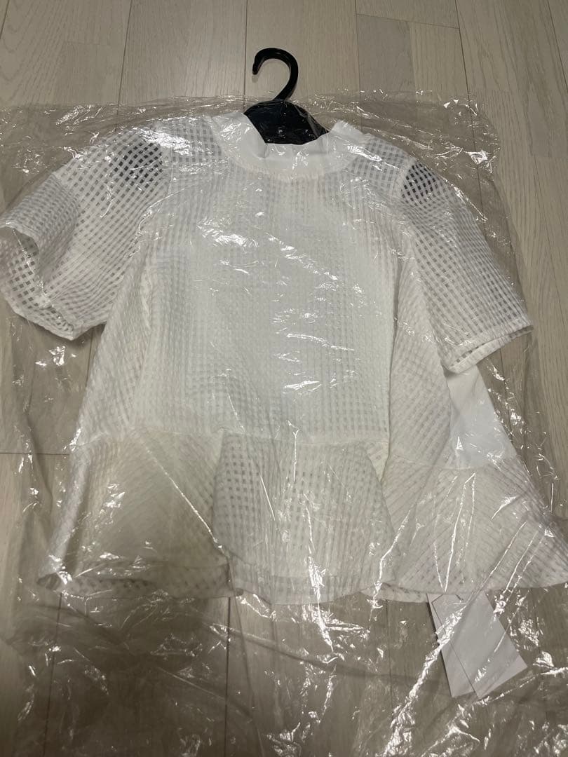 Gypsohila ジプソフィア ホワイト メッシュ トップス 半袖今季新作新品