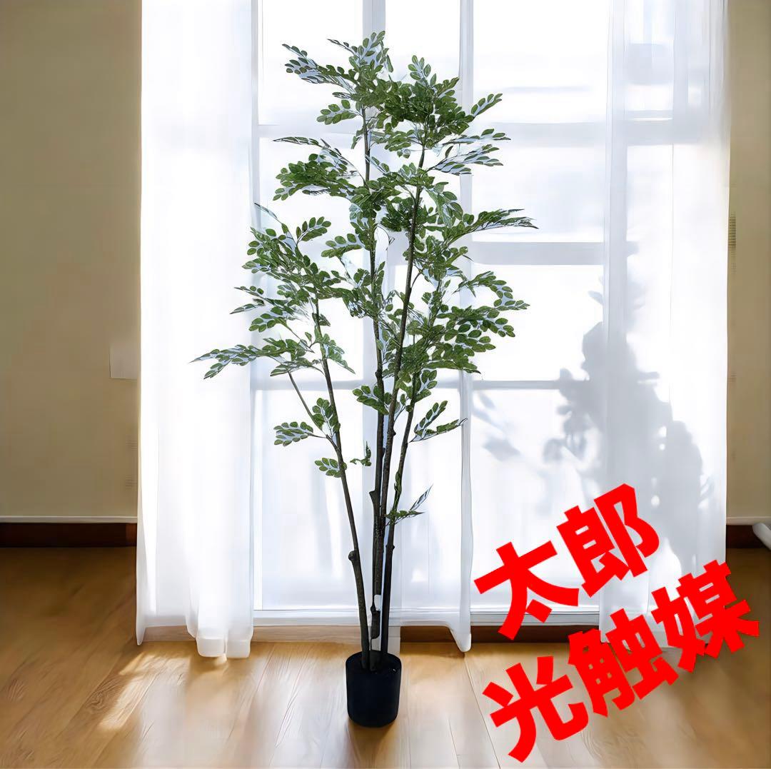 光触媒　人工観葉植物　ウォールグリーン　フェイクグリーン　トネリコ21090