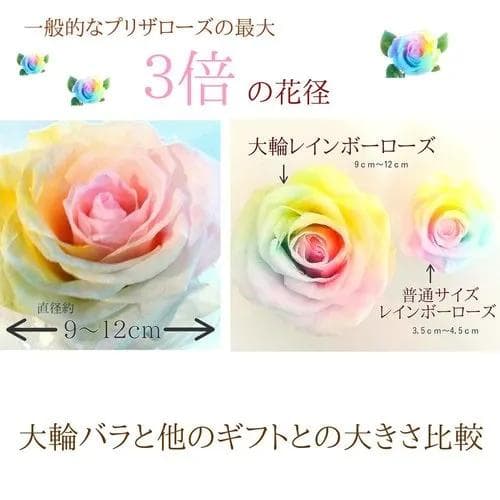 【楽天ランキング1位】プリザーブドフラワーパステルレインボーローズ　ガラスドーム
