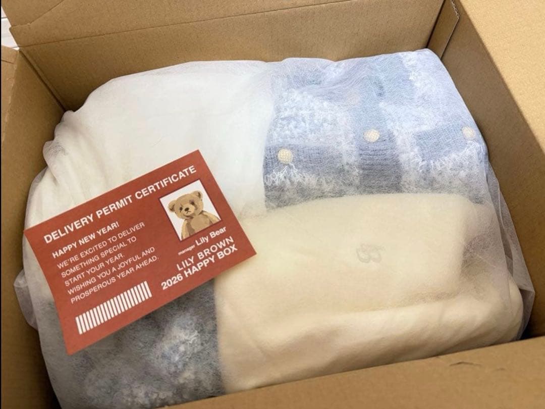 ❤️即完売　ラストチャンス　LILY BROWN リリーブラウン 2026年 福袋