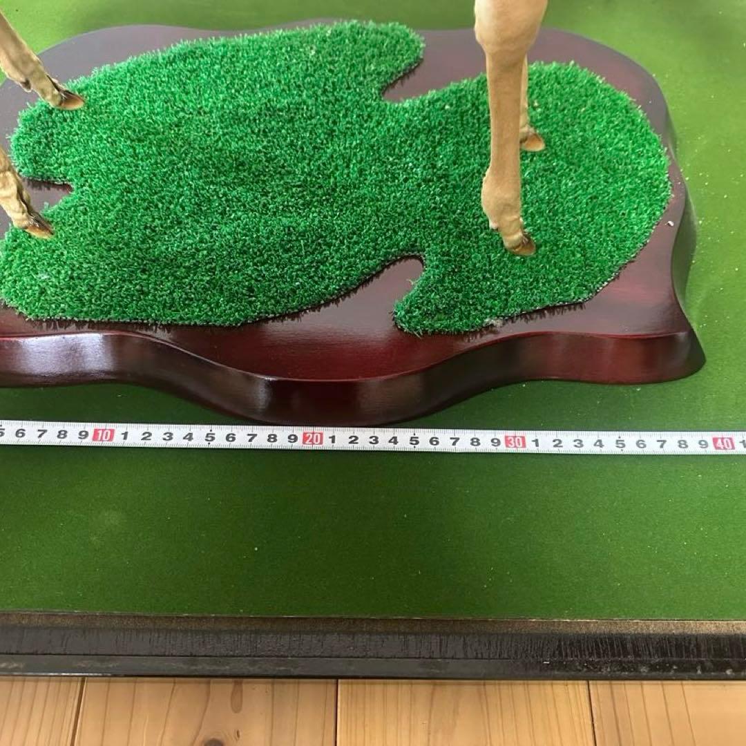 剥製 バンビ　子鹿 ニホンジカ 本物