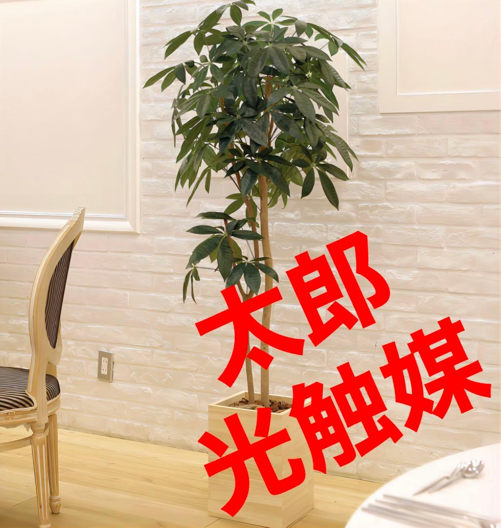 光触媒　人工観葉植物　フェイクグリーン　ウッドボックスパキラ1.6m