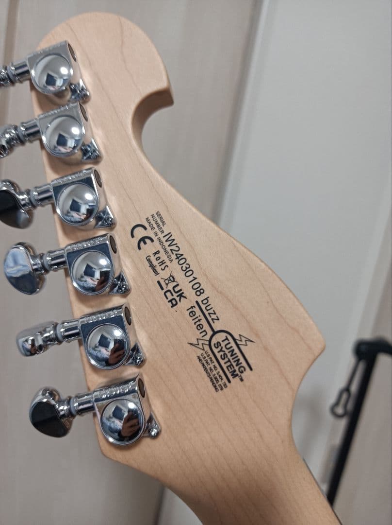 Usuke9　Washburn　N24 エレキギター　NUNO N4