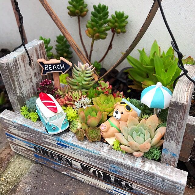 ★多肉植物　寄せ植え〜手作り木製プランター　ビーチ寄せ〜★