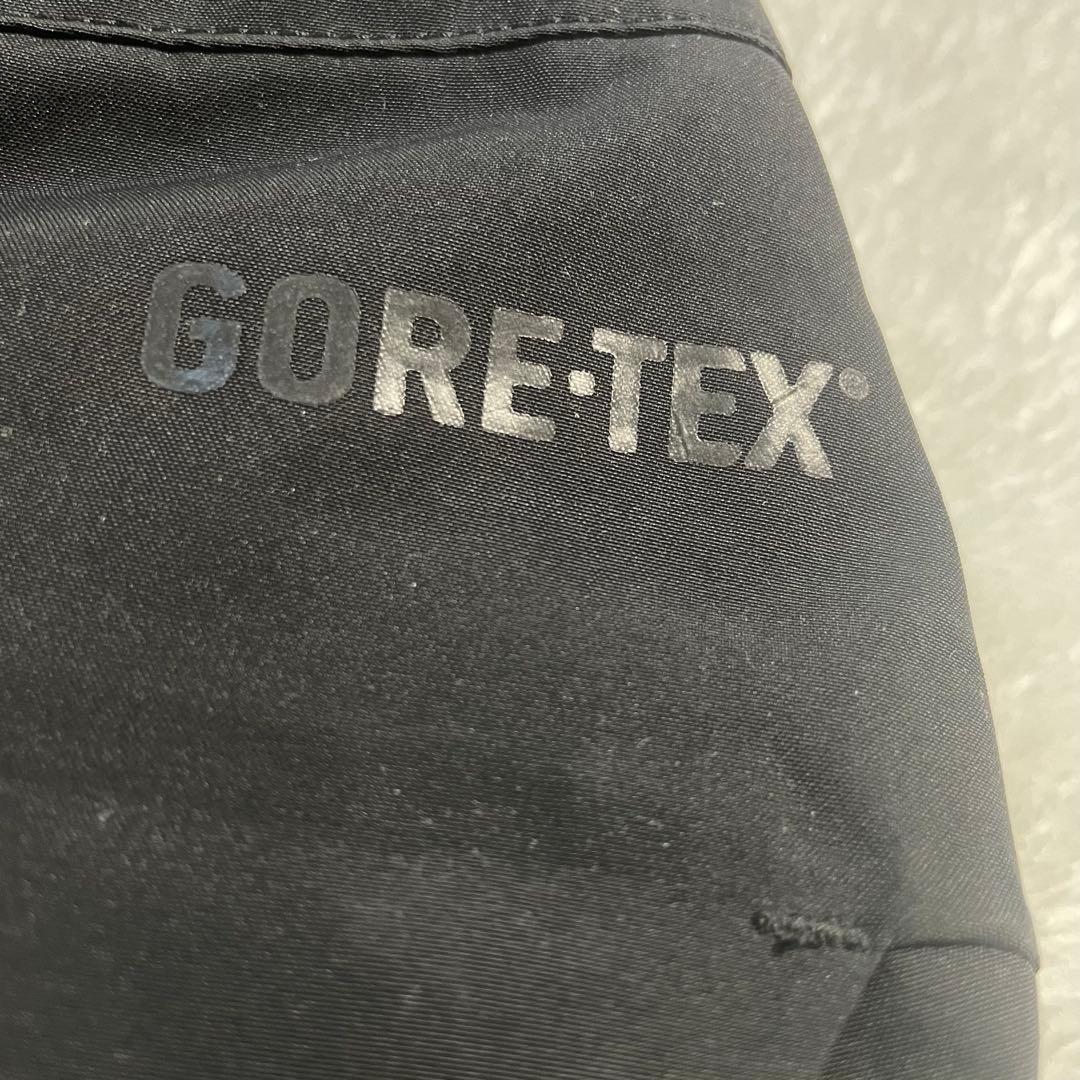 スノーボード Patagonia GORE-TEX POWDER BOWL PANTS M