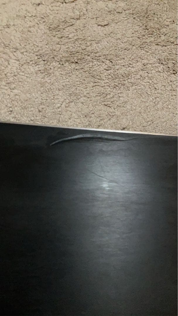 セシルさん専用