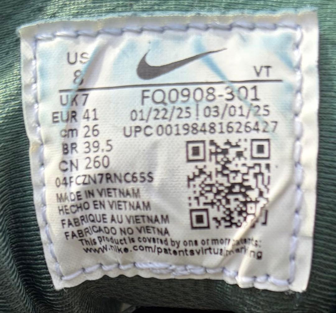 【極美品】Nike PEGASUS TRAIL 5 　ゴアテックス 26.0箱付