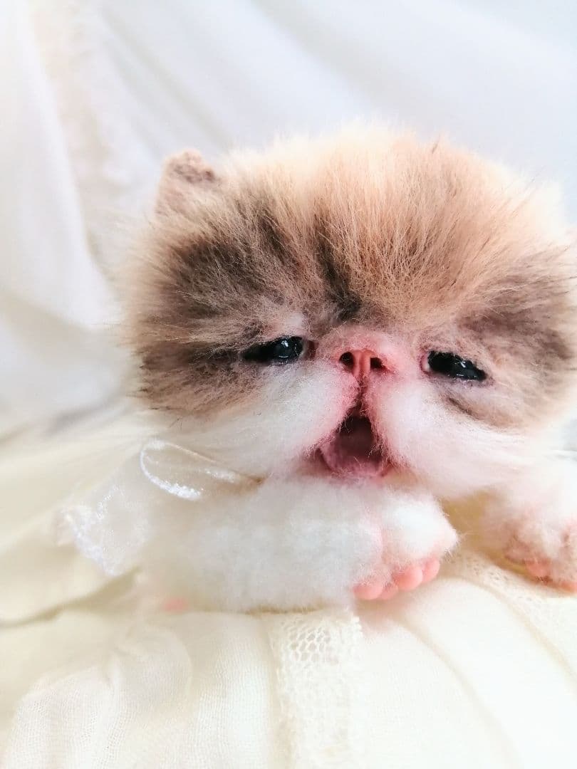 ママぁ～♡お世話セット♡エキゾチック子猫ちゃん♡アートドール♡ぬいぐるみ♡