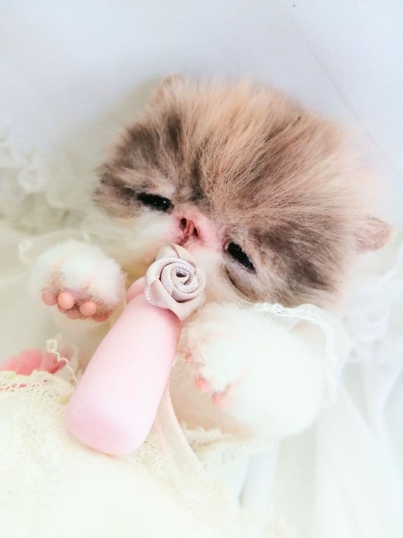 ママぁ～♡お世話セット♡エキゾチック子猫ちゃん♡アートドール♡ぬいぐるみ♡