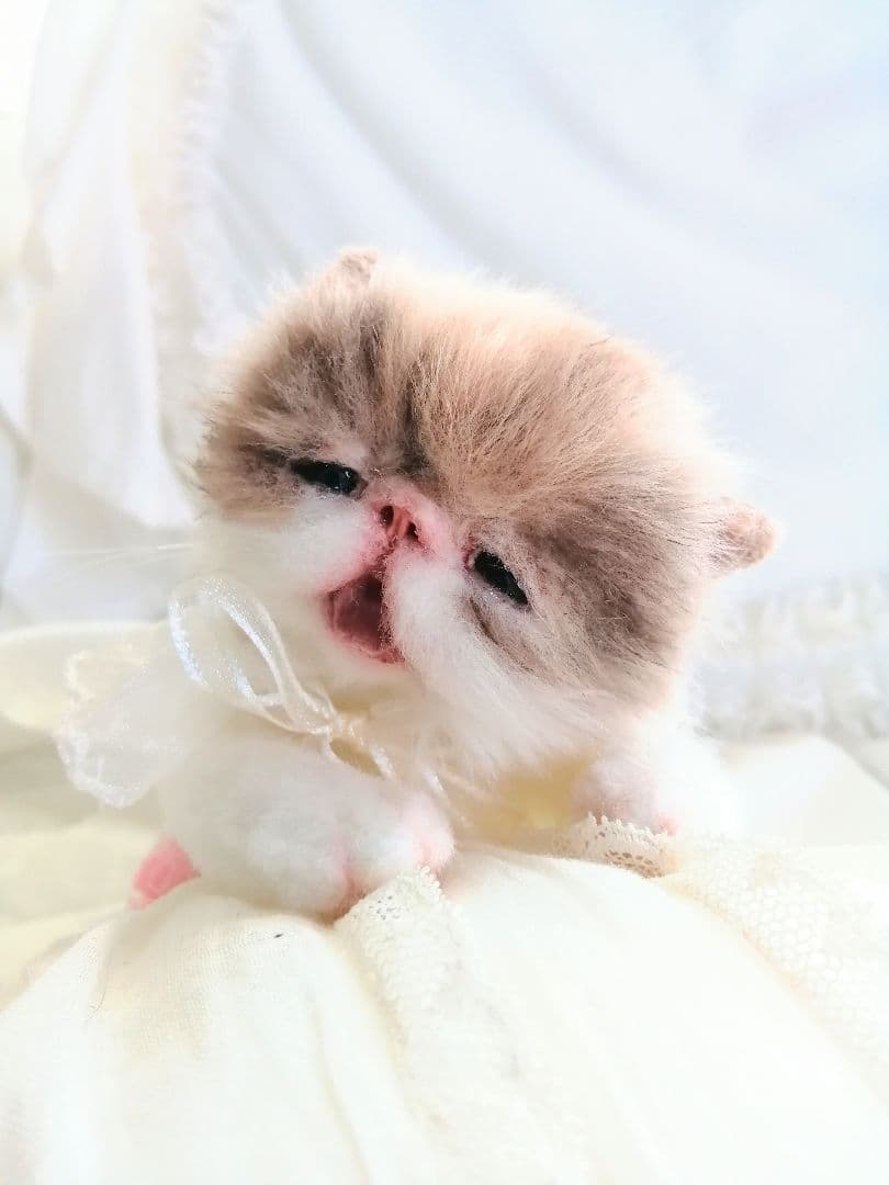 ママぁ～♡お世話セット♡エキゾチック子猫ちゃん♡アートドール♡ぬいぐるみ♡