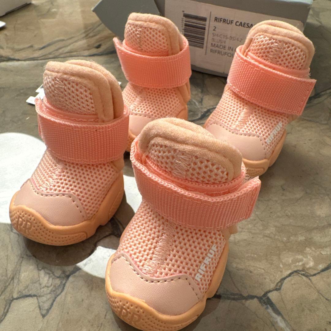 RIFRUF CAESAR 1サイズ2 犬用スニーカー