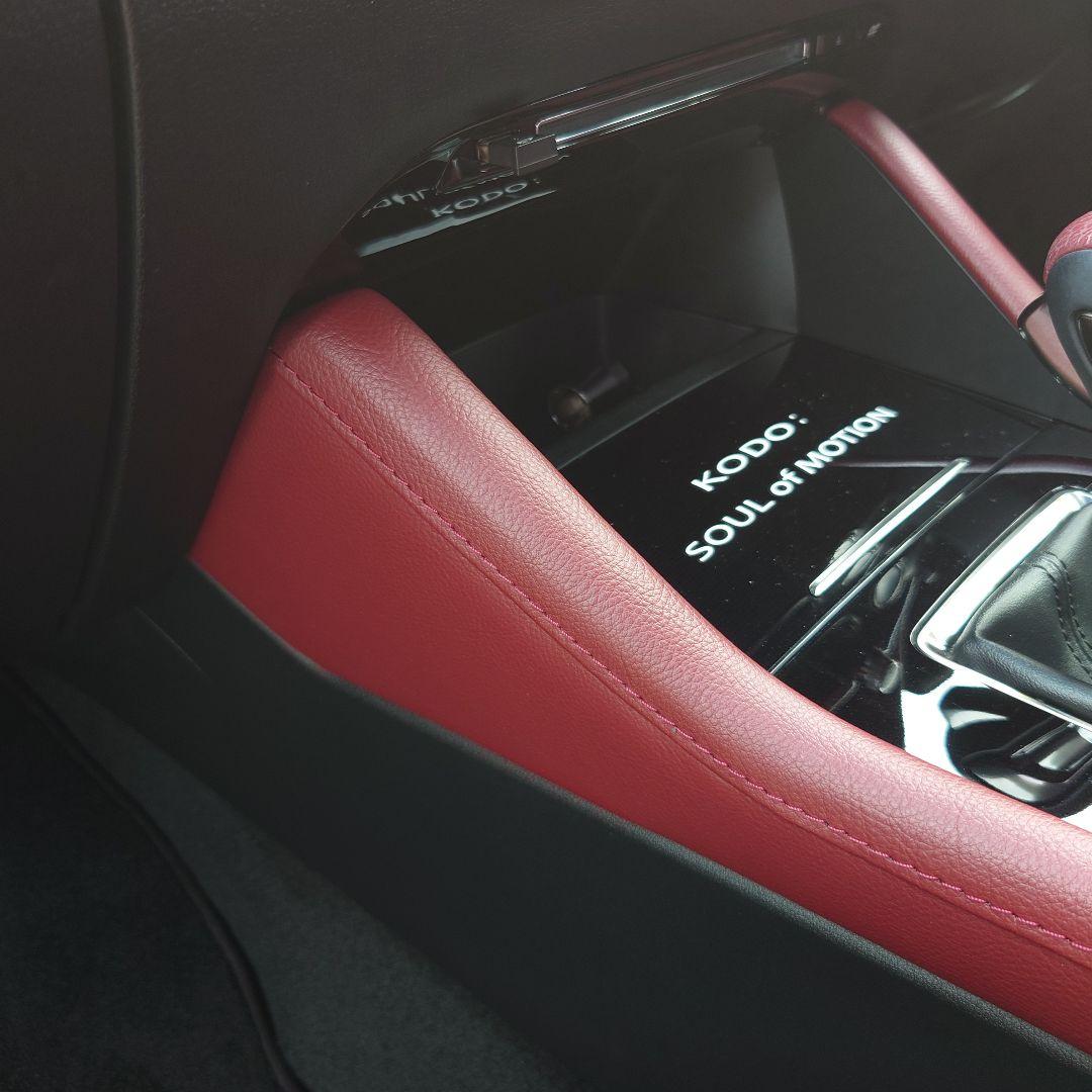 【1点もの】【貴重】マツダ3 サイドパネル バーガンディ カスタム usdm