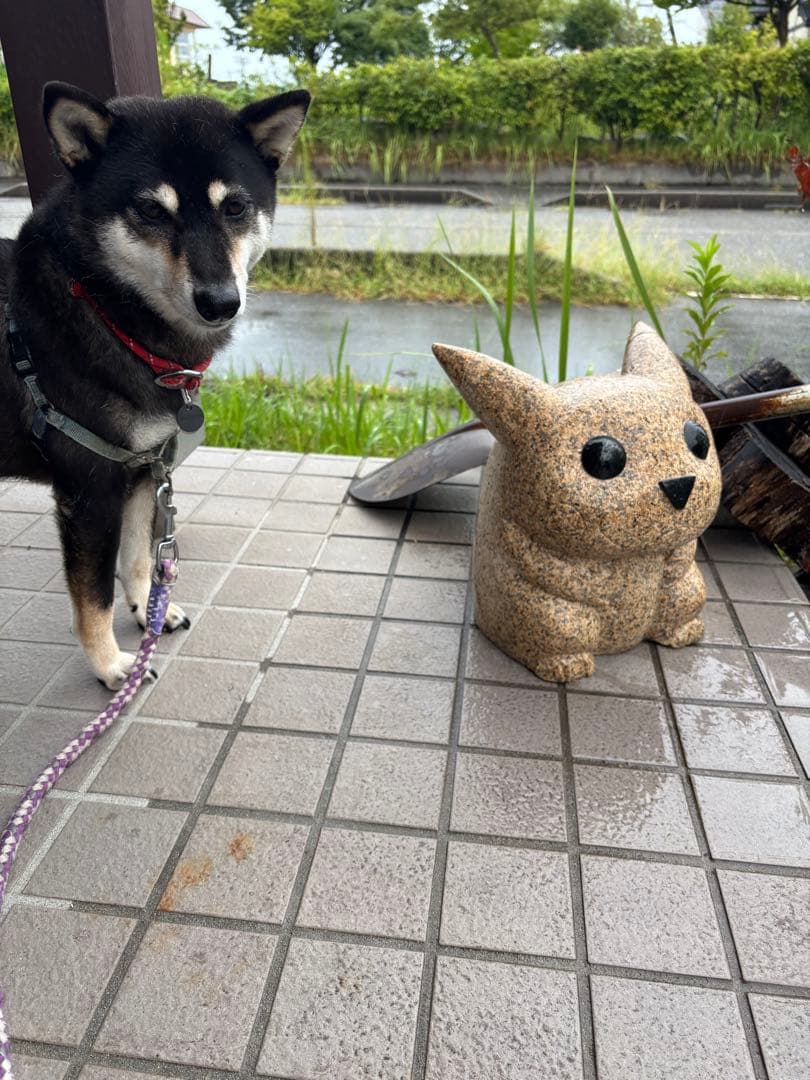 ピカチュウ石像　百ちゃん