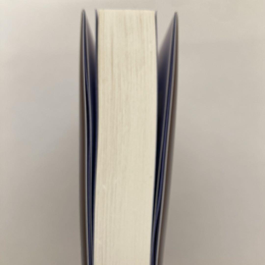 光の魂たち 山岳編 序章 人の御魂を磨く聖なる山々