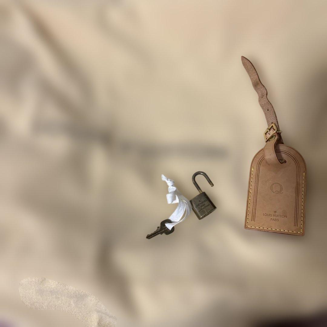 Louis Vuitton ヴェルニ パープル　ペガス45 キャリーケース