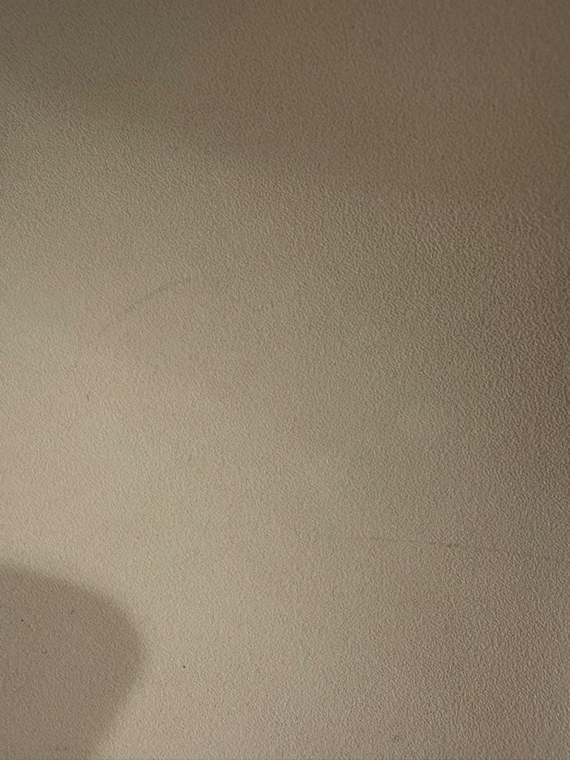 専用です。イームズ　ハーマンミラー　シェルチェア 二脚分