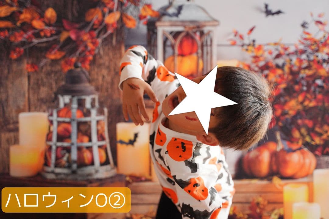 業務用フェルトトリミングチョーカー+背景布　ハロウィン　クリスマス　撮影用ブース