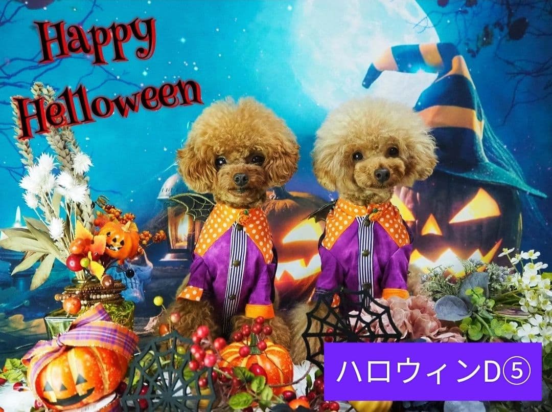 業務用フェルトトリミングチョーカー+背景布　ハロウィン　クリスマス　撮影用ブース