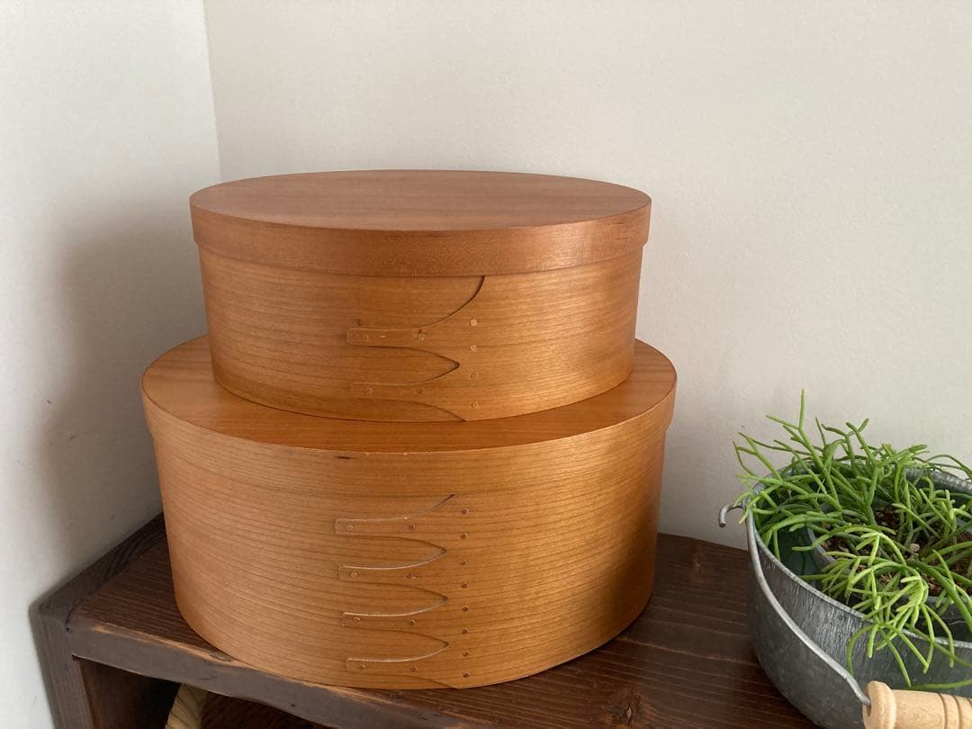 AXCIS stead シェーカーボックス2個セット