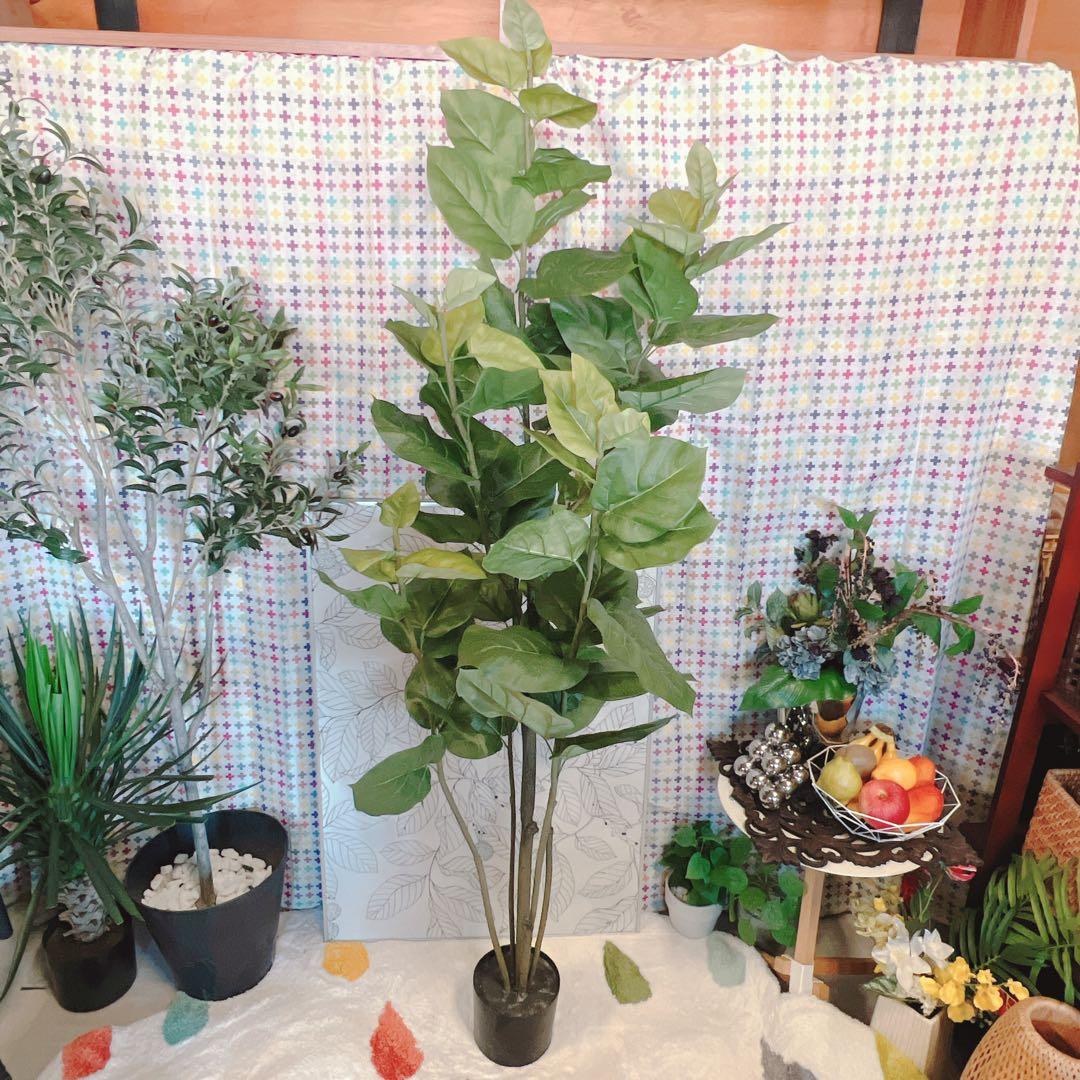 人工観葉植物　フェイクグリーン