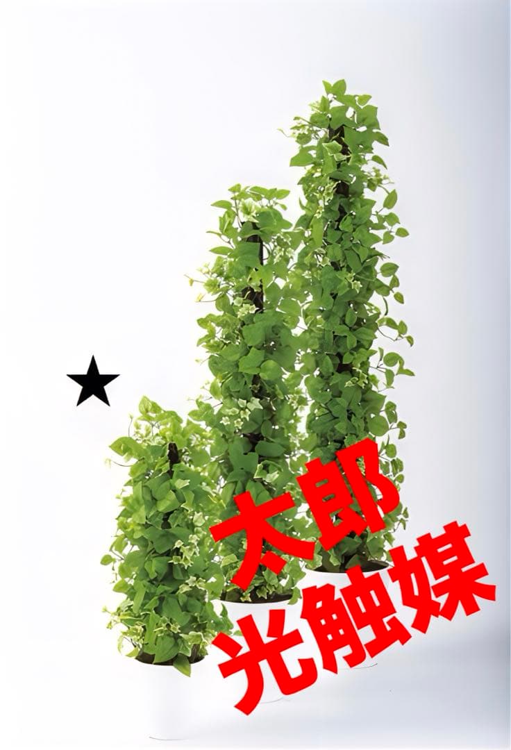 光触媒　人工観葉植物　ウォールグリーン　フェイクグリーン　MIXヘゴライム