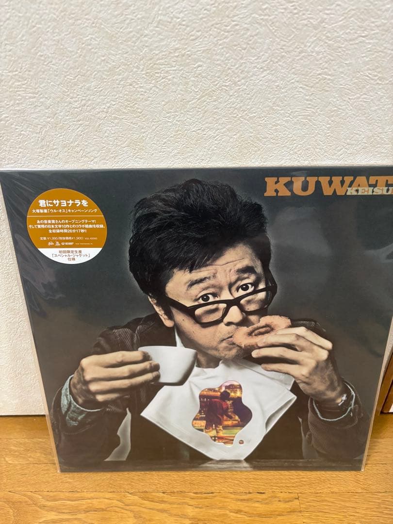 名*し様 サザン(桑田佳祐)レコードコレクション