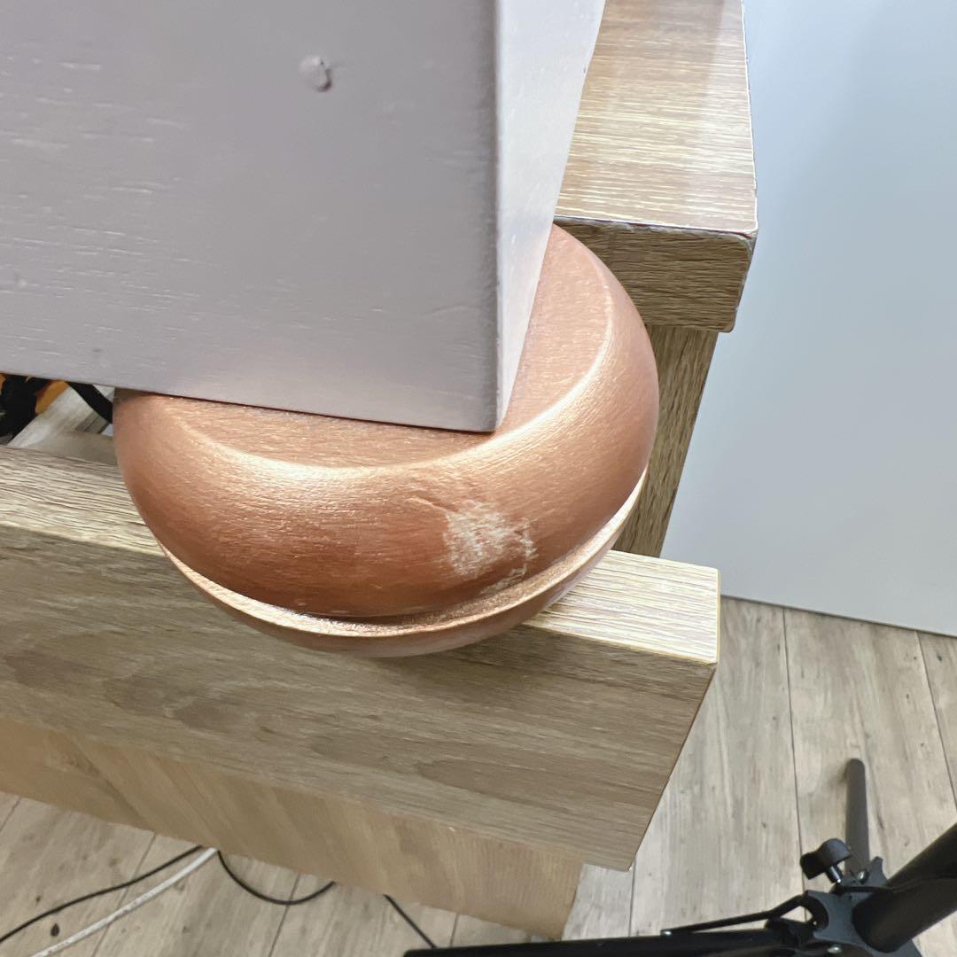 未使用　最高級ペット用ベッド　Katalin zu Windischgraetz