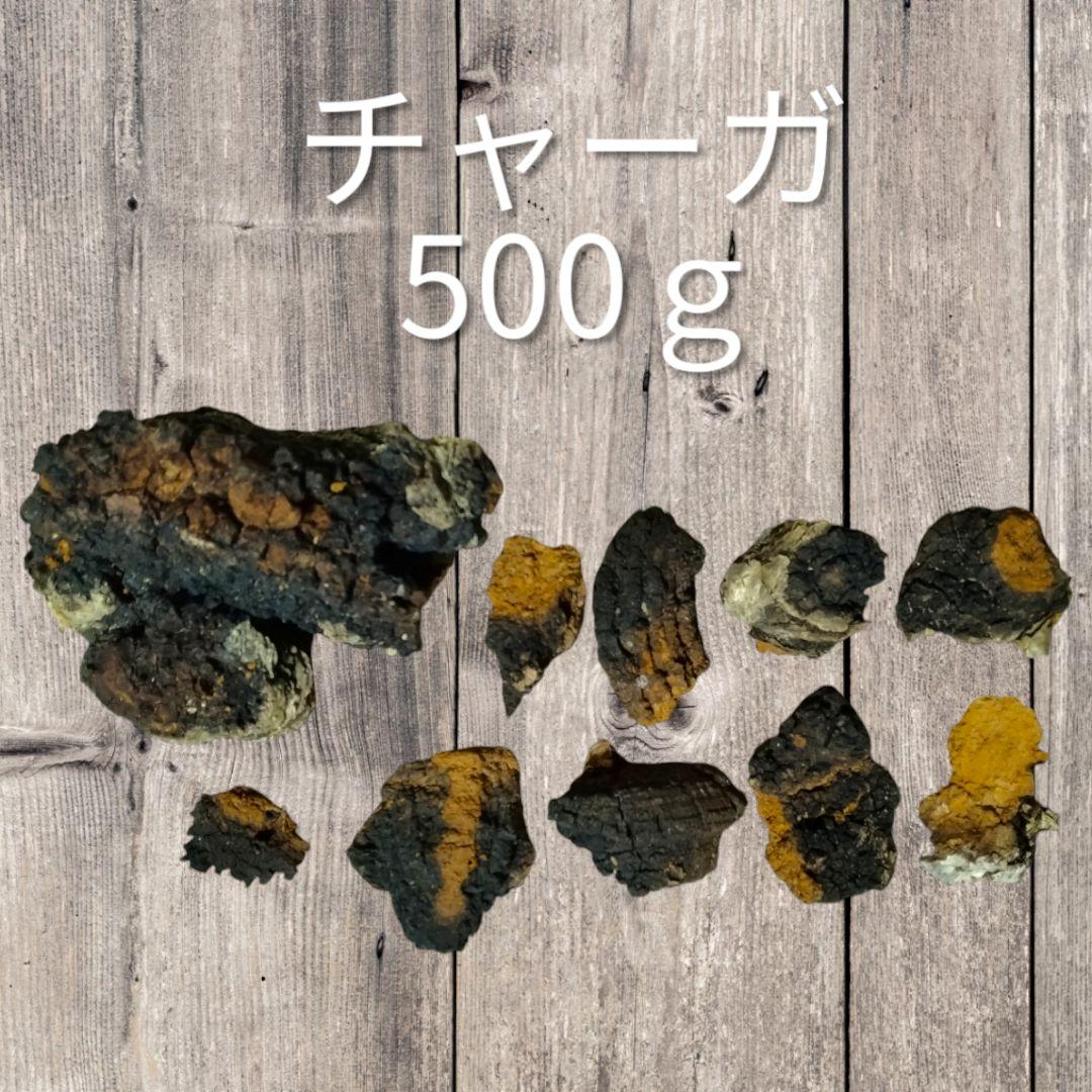 ★北海道産天然カバノアナタケ(チャーガ)　かたまり500g★送料無料★