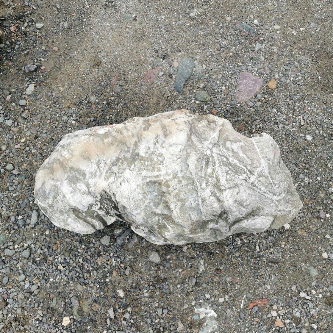 三波石　85キロ　庭石　石　鑑賞石　庭　坪庭　ガーデニング　置物　オブジェ