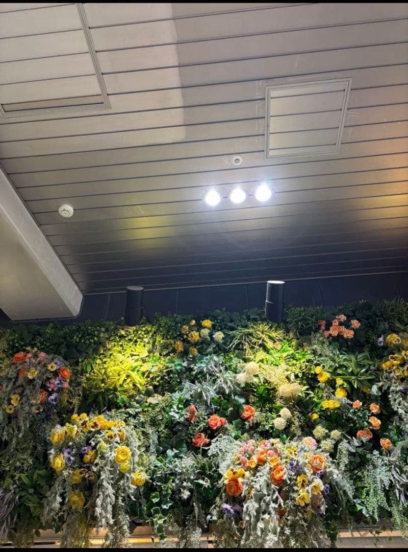 MONCLER ロゴ セーターニットタートルネック新作BLACK {S}専用⭐️