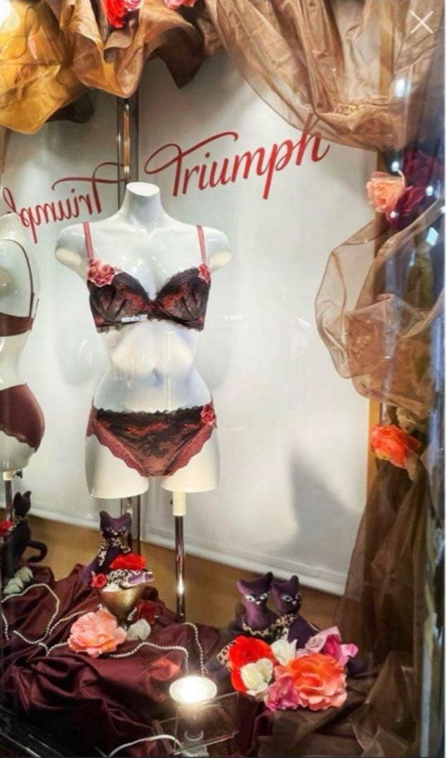 E75L トリンプ プレミアム レッドレーベル 0094 ブラ＆ショーツM014