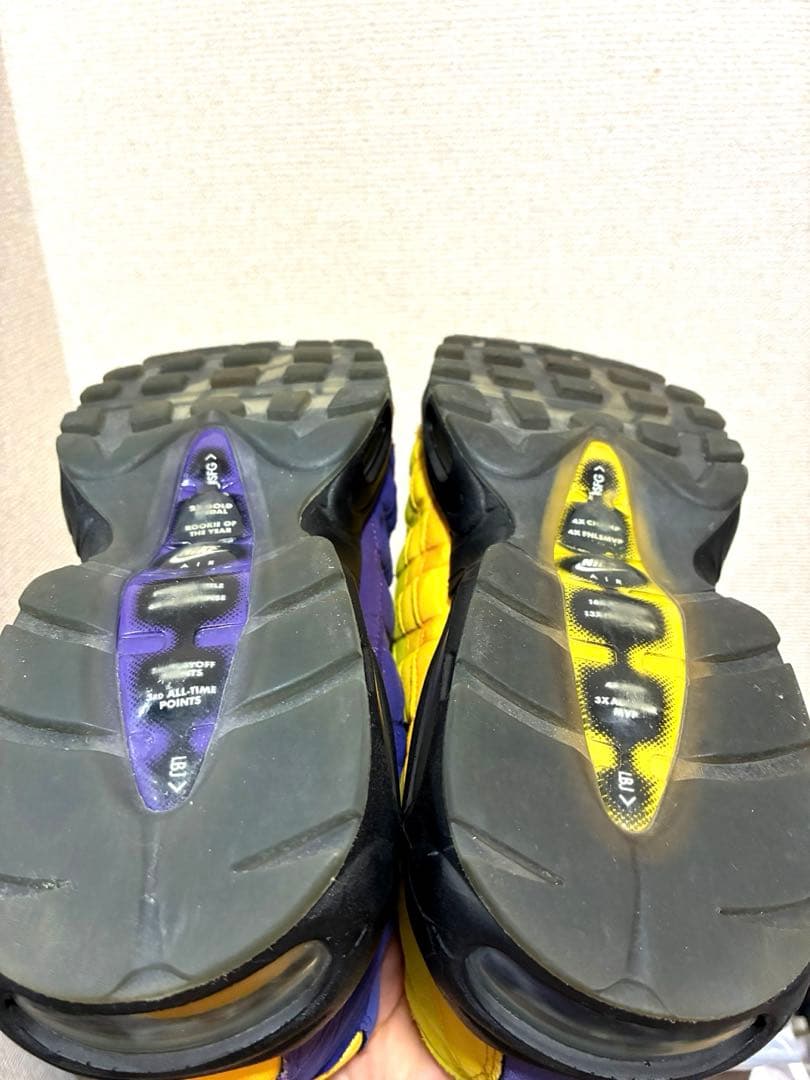 NIKE AIRMAX95 レブロン team 29センチ