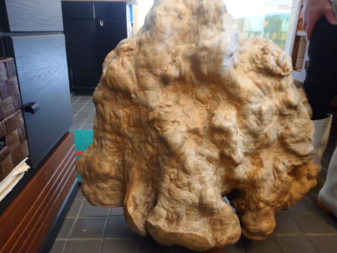 木の根っ子の切り株の置物、