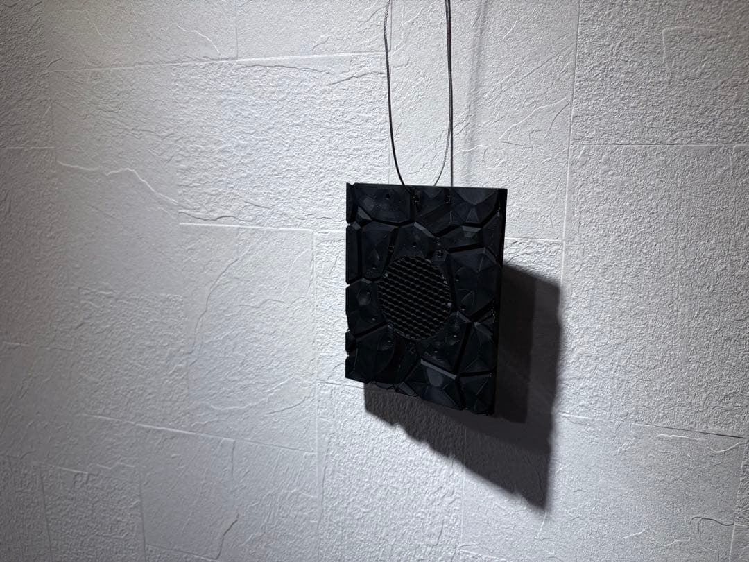 ホリダ グラキリス