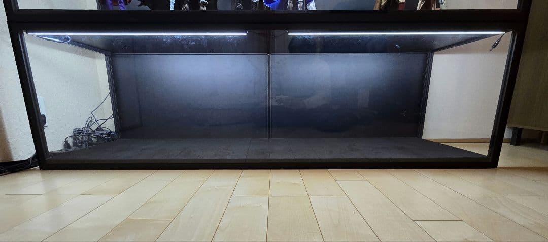 Moducase SIXTH165 ケース フィギュア ディスプレイ